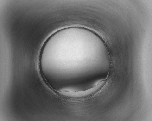 X0000101441518200807211201