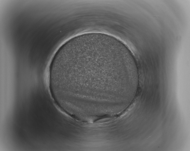 X0000101441519200807211201