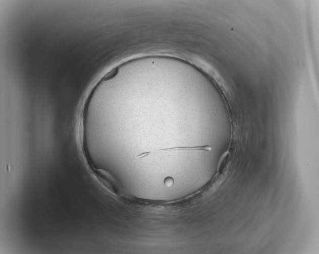 X0000101441520200807211201