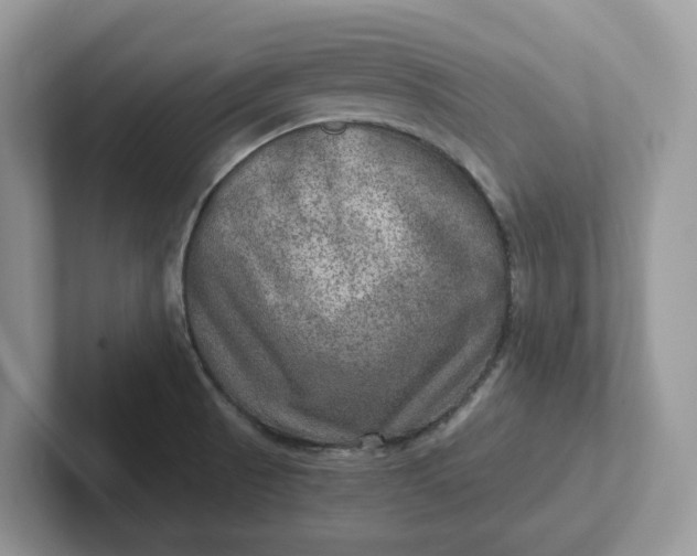 X0000101441521200807211201