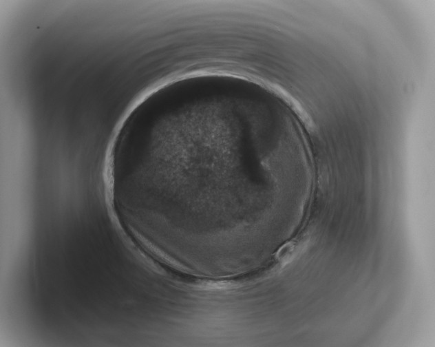 X0000101441522200807211201