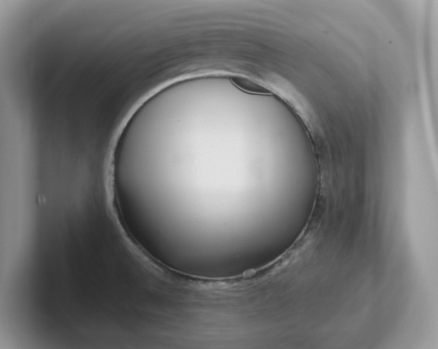 X0000101441524200807211201