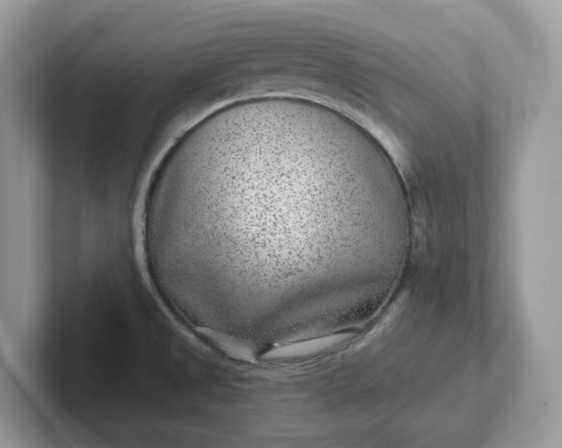 X0000101441525200807211201