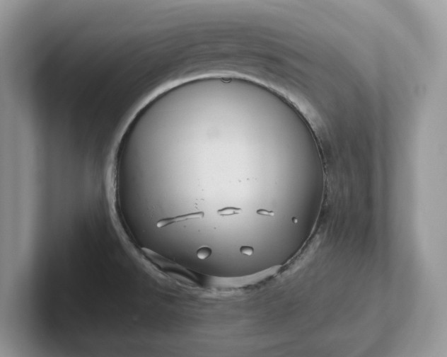 X0000101441526200807211201