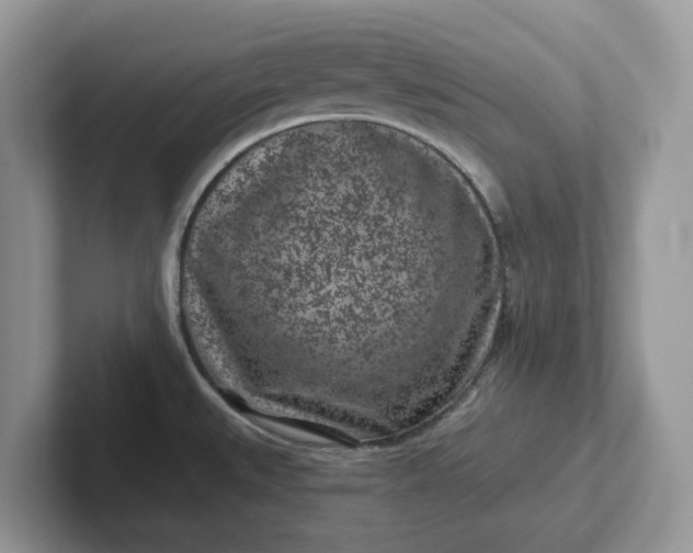 X0000101441527200807211201