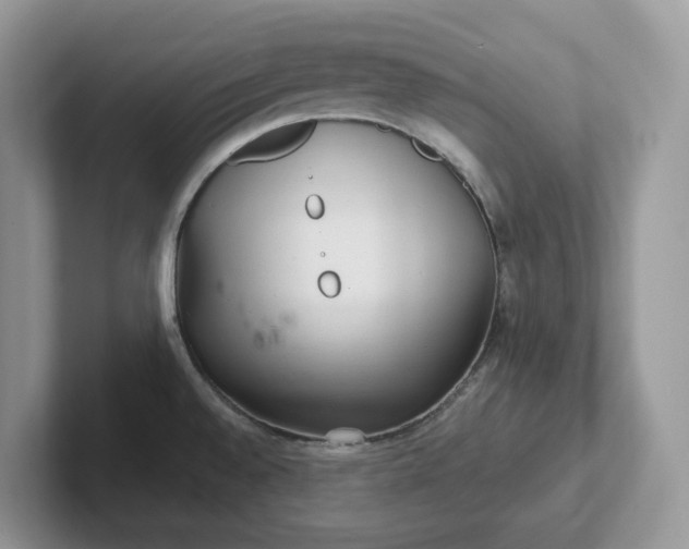 X0000101441528200807211201