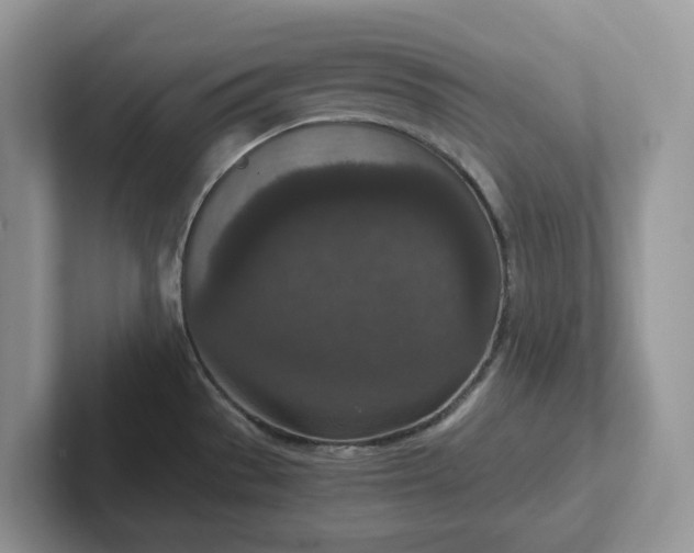 X0000101441529200807211201