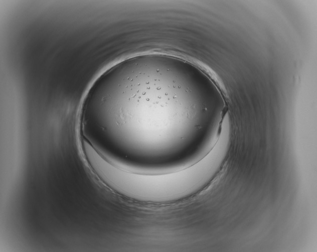 X0000101441530200807211201