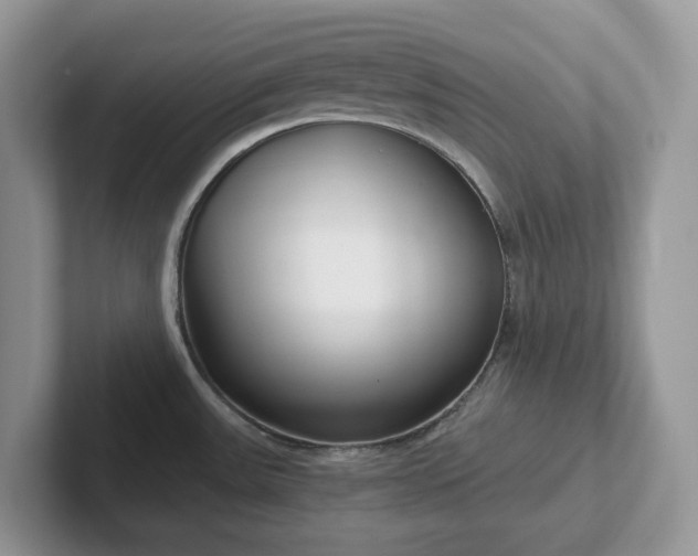 X0000101441531200807211201