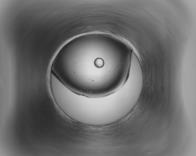 X0000101441532200807211201