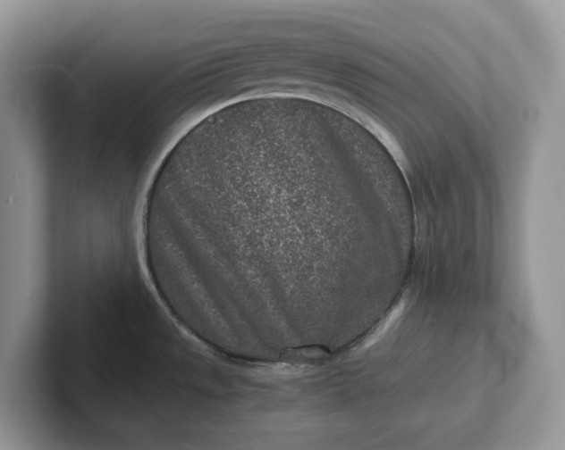 X0000101441533200807211201