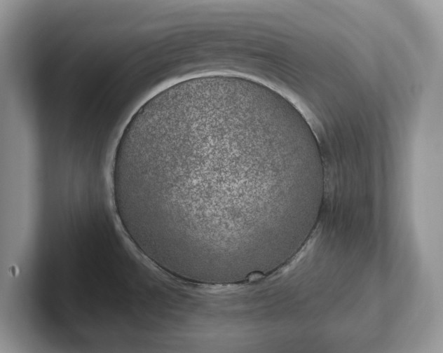 X0000101441534200807211201