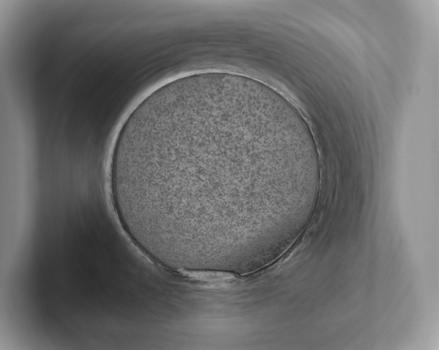 X0000101441536200807211201