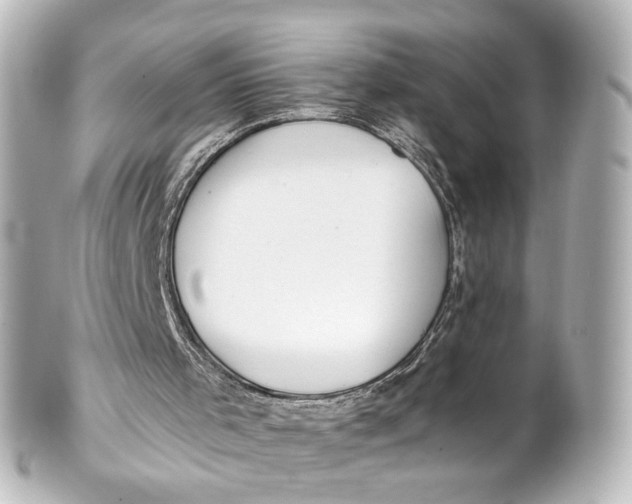 X0000101440001200807281033