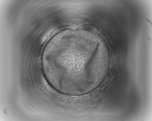 X0000101440002200807281033