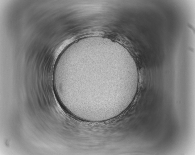 X0000101440003200807281033