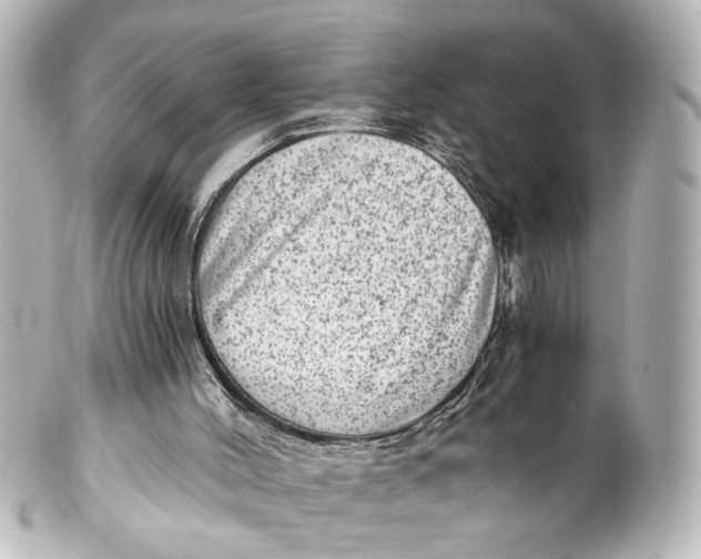 X0000101440004200807281033