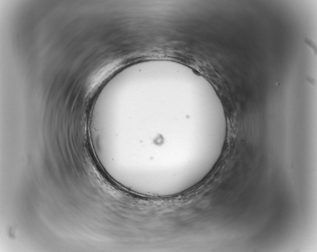 X0000101440005200807281033