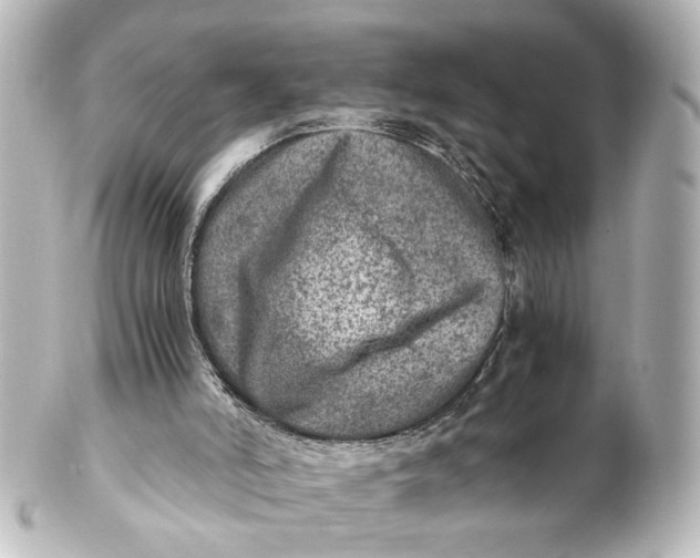 X0000101440006200807281033