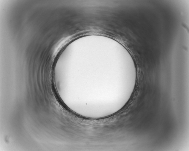 X0000101440007200807281033