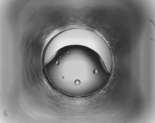 X0000101440008200807281033