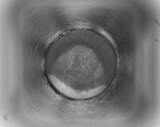 X0000101440009200807281033