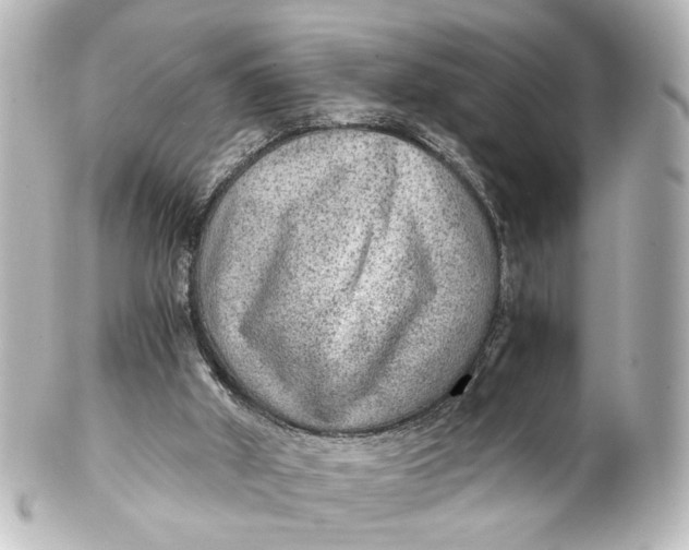 X0000101440010200807281033