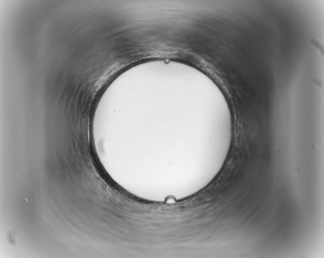 X0000101440011200807281033