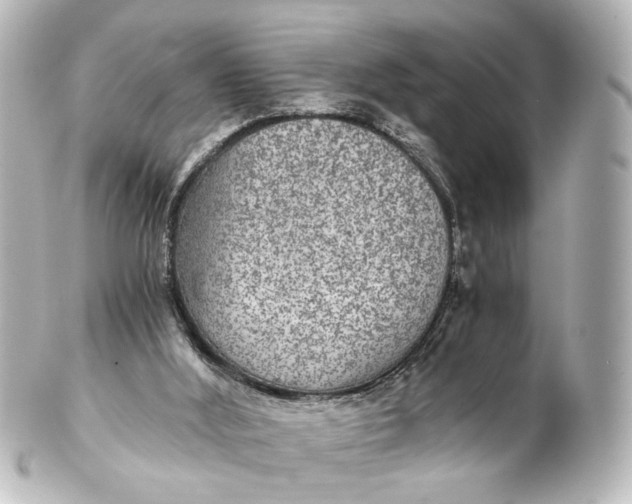 X0000101440012200807281033