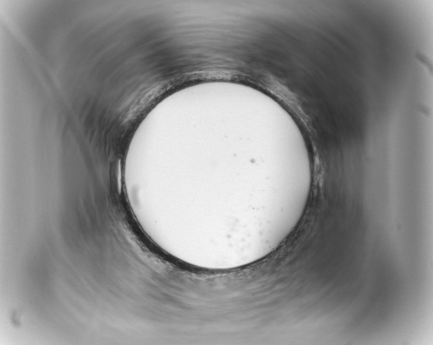 X0000101440013200807281033