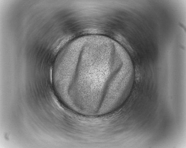 X0000101440014200807281033