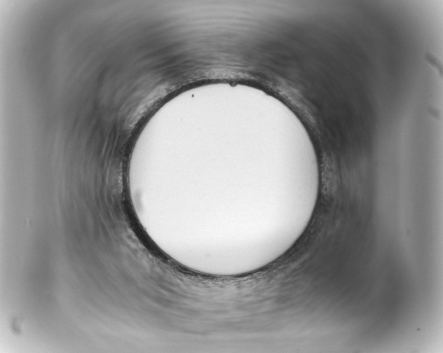 X0000101440015200807281033