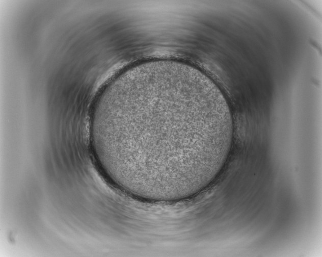 X0000101440016200807281033