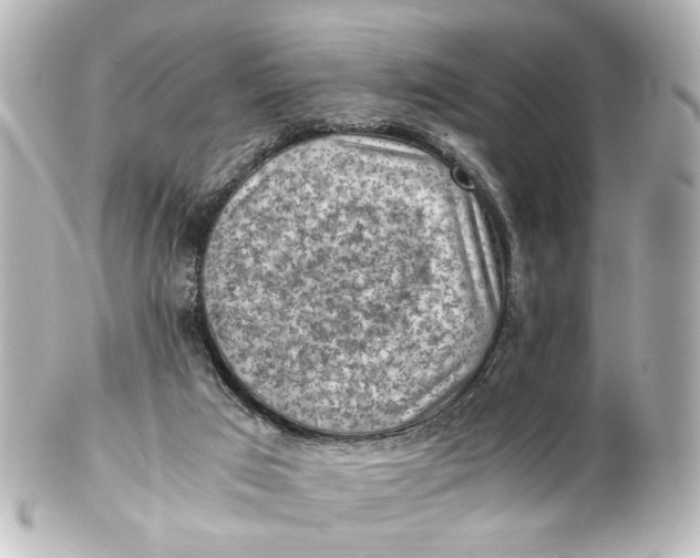 X0000101440017200807281033