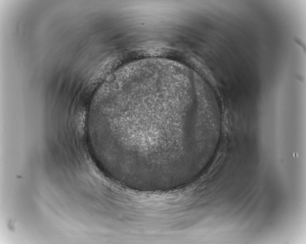 X0000101440018200807281033