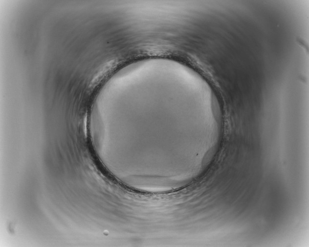 X0000101440019200807281033