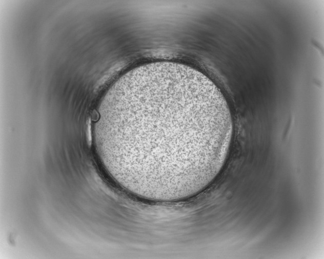 X0000101440020200807281033