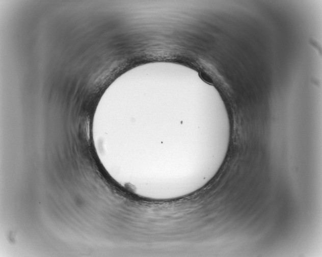 X0000101440021200807281033