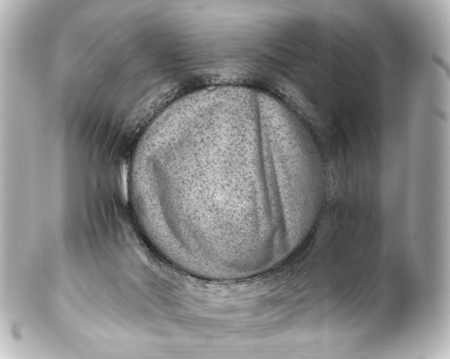 X0000101440022200807281033