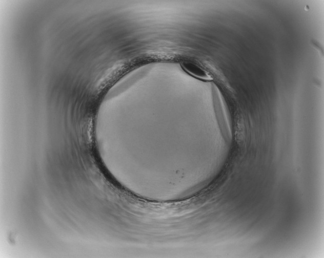 X0000101440023200807281033