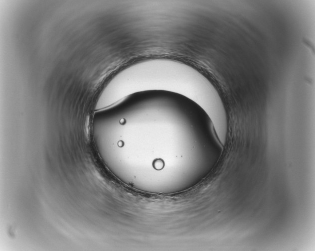 X0000101440024200807281032