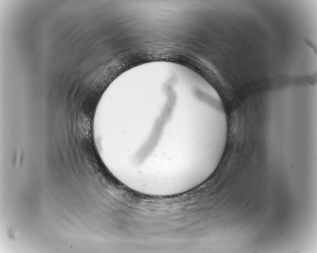 X0000101440025200807281032