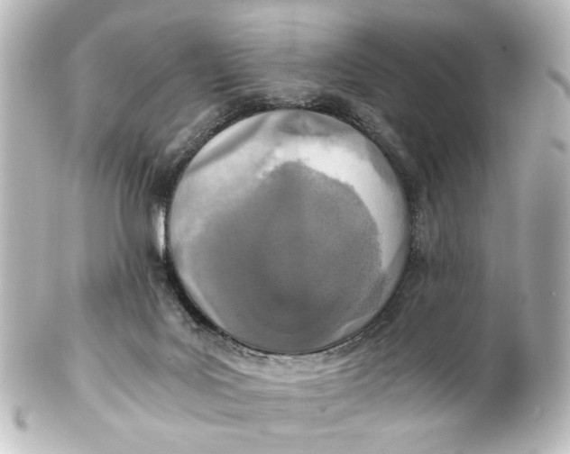 X0000101440027200807281032