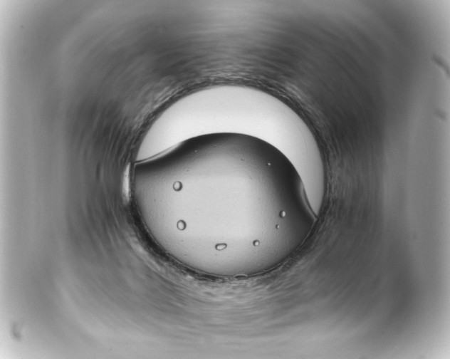 X0000101440028200807281032