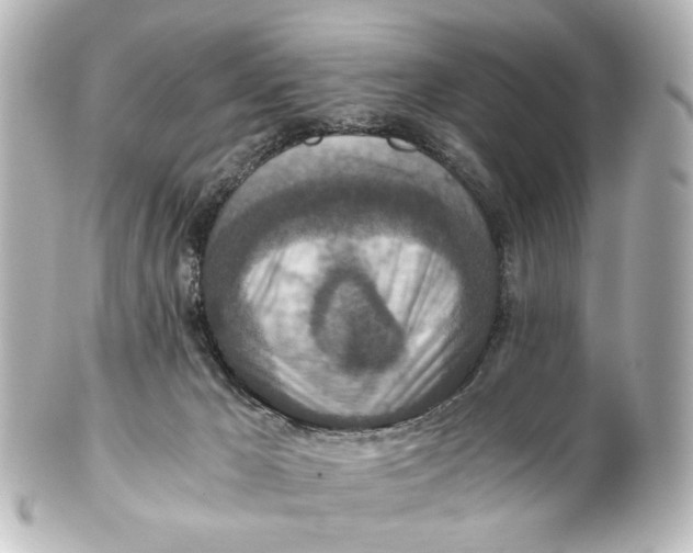 X0000101440029200807281032