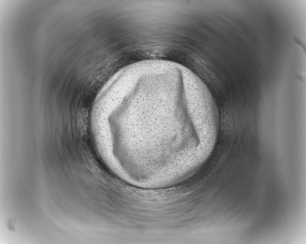 X0000101440030200807281032