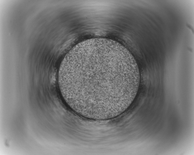 X0000101440032200807281032