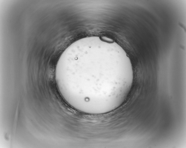 X0000101440033200807281032