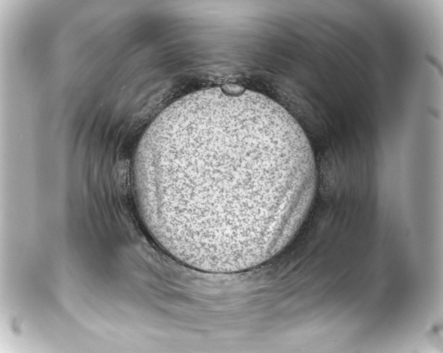 X0000101440034200807281032