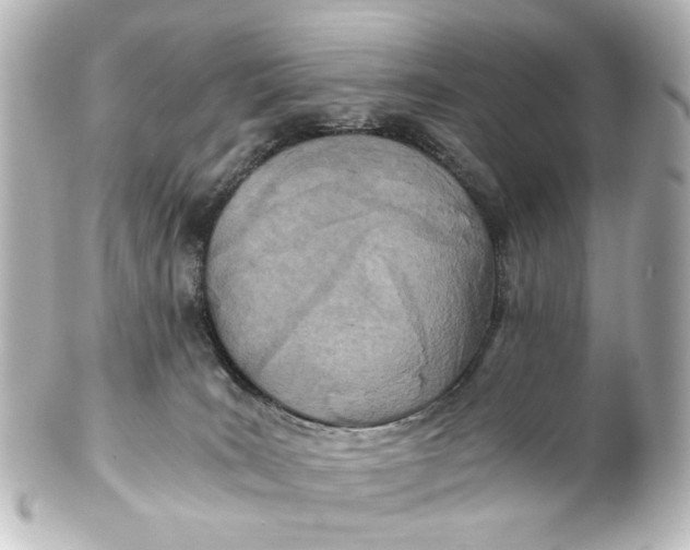 X0000101440035200807281032